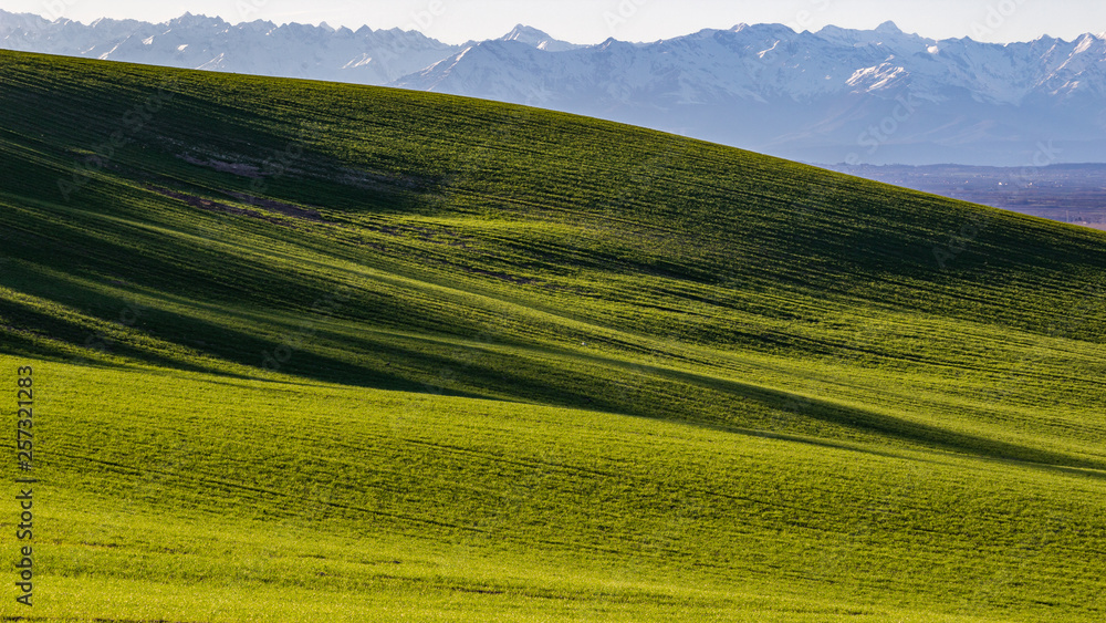 Pattern of fields in the hills in spring with mountains as background