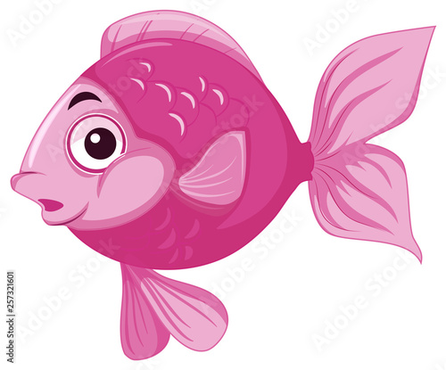 happy pink fish in water