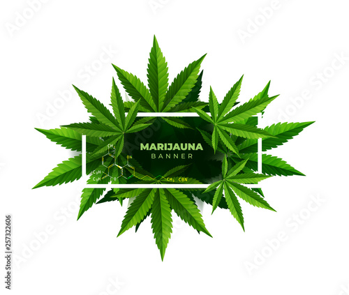 Banner plant and cannabis laef, boder vector.