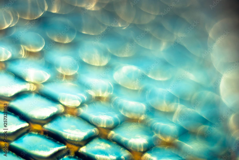 Blurred snake skin background. Bokeh. Holographic texture. Blurred snake skin background. Bokeh. Holographic texture.