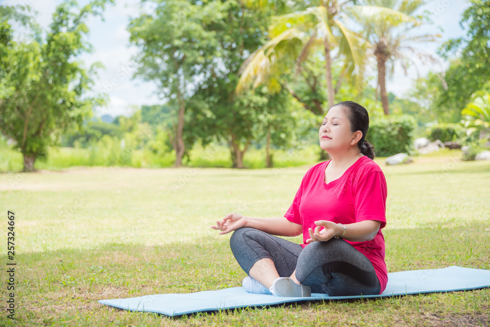 Portrait of asian aged women doing yoga exercise in park