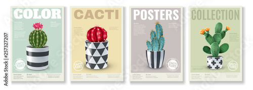 Cacti Realistic Posters Set 