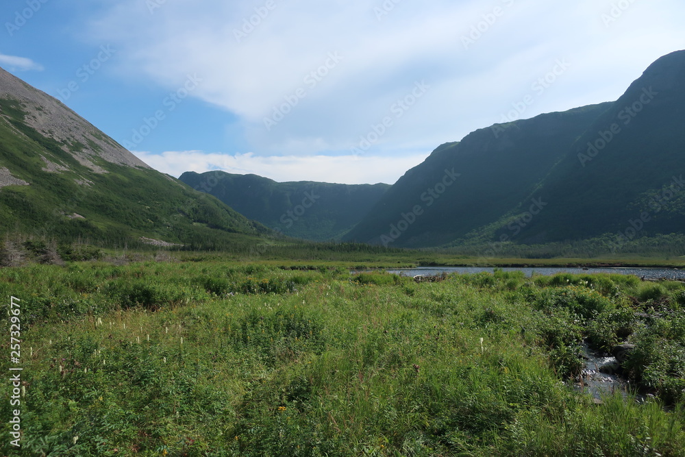 Fototapeta premium Mountain valley landscape
