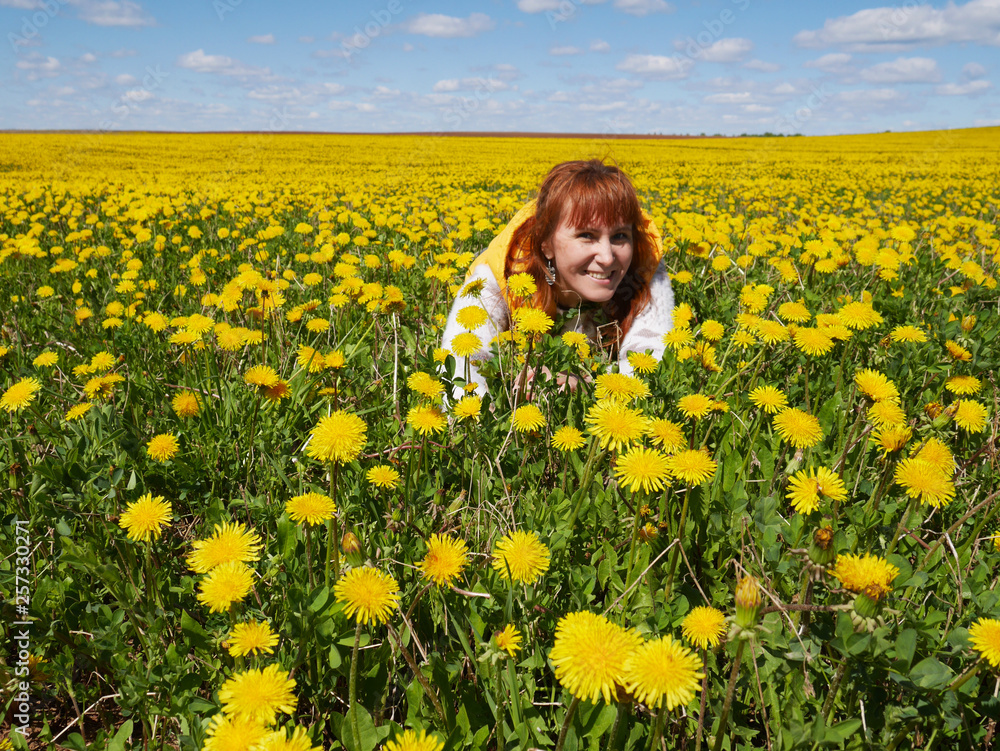 adult girl woman lying in a dandelion field adult girl woman lying in a dandelion field