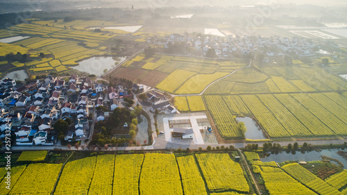 Nanjing, jiangsu, China: aerial photo of yaxi's "international slow city" in a sea of rape flowers covering 10,000 mu
