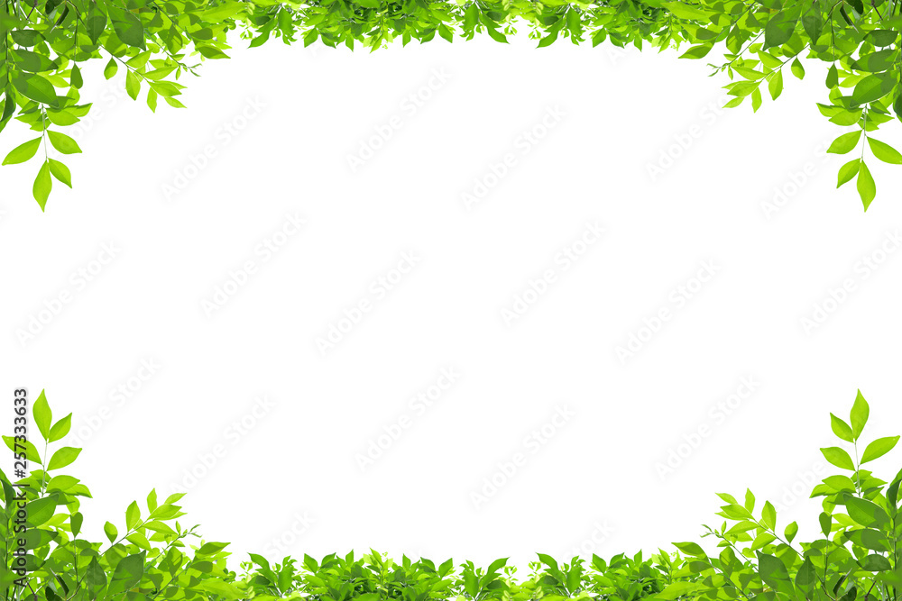 Leaf frame isolated on white background.