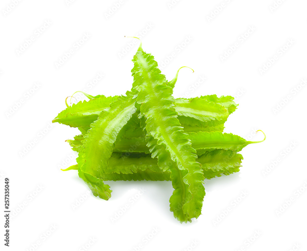 Naklejka premium winged bean on white background
