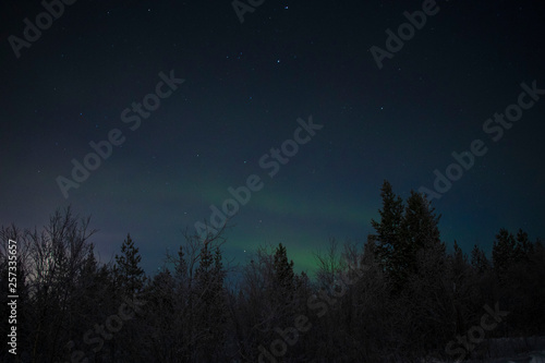 Aurora in Murmansk