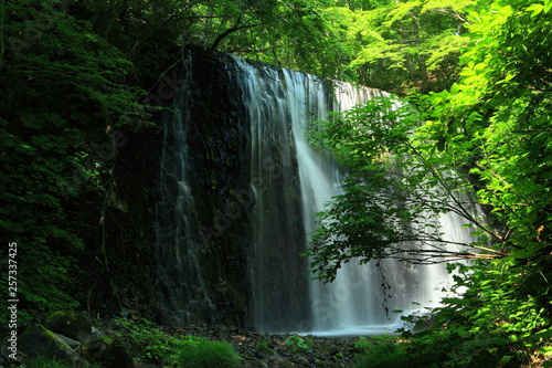 夏の滝