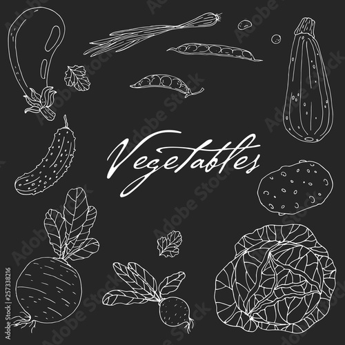 Set of elements with hand drawn vegetables on a chalkboard background.