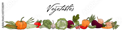 Border with hand drawn vegetables on a white background.