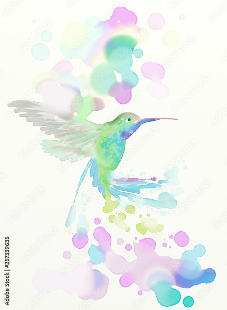 Obraz premium hummingbird