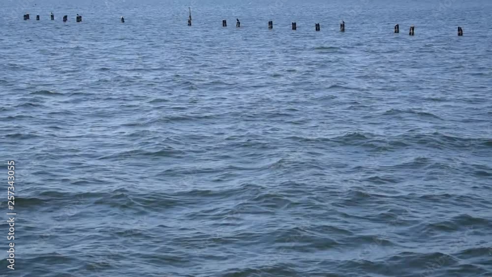 dark blue waves with weathered posts framed in background dark blue waves with weathered posts framed in background