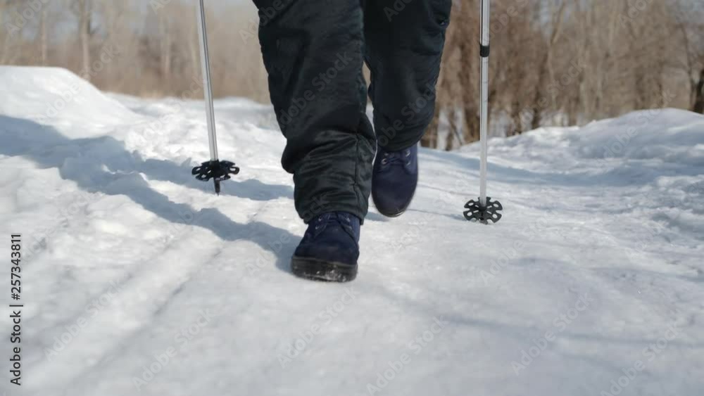 SLOW MOTION: Legs of mature woman walks with nordic walking sticks in winter forest SLOW MOTION: Legs of mature woman walks with nordic walking sticks in winter forest