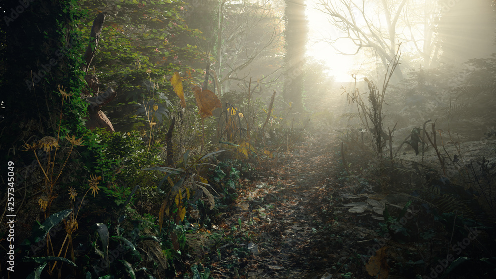 Chemin dans la forêt avec brouillard et rayon de lumière