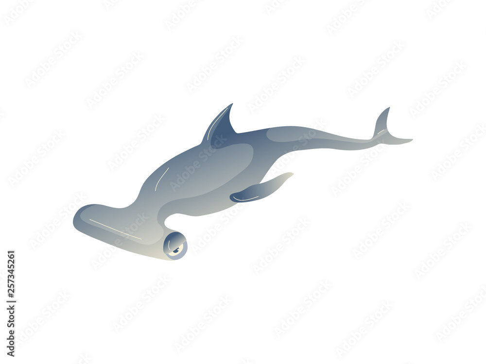 Cartoon hammerhead fon white background. Vector illustration.