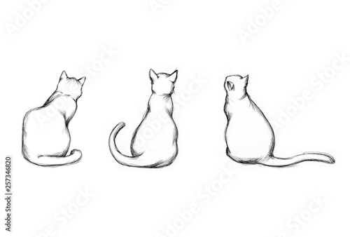 Drei unterschiedliche Katzen