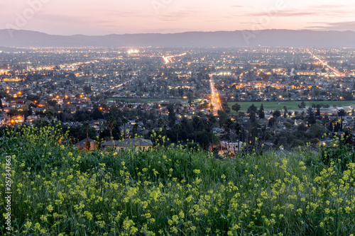 Konstfotografi High above Silicon Valley colored with Field Mustards in Spring
