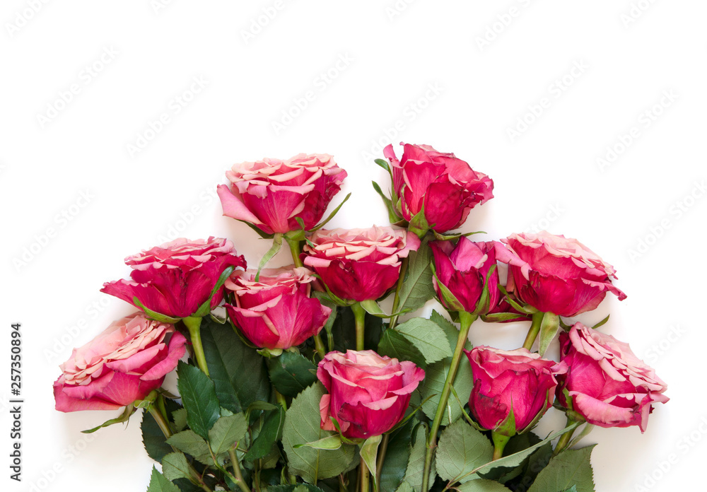 Flowers composition. Roses flowers on white background. Flat lay, top view, copy space. - Image Flowers composition. Roses flowers on white background. Flat lay, top view, copy space. - Image