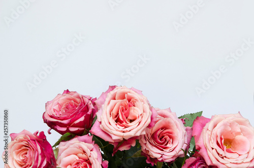 Flowers composition. Roses flowers on white background. Flat lay, top view, copy space. - Image © ireneromanova