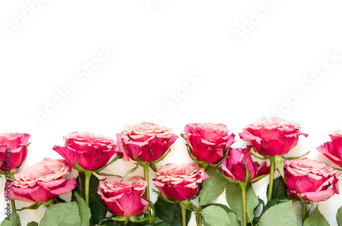 Flowers composition. Roses flowers on white background. Flat lay  top view  copy space. - Image