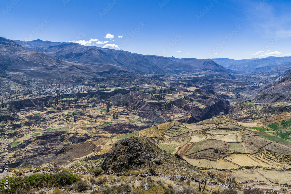A wheat field in a gorge of the Andes