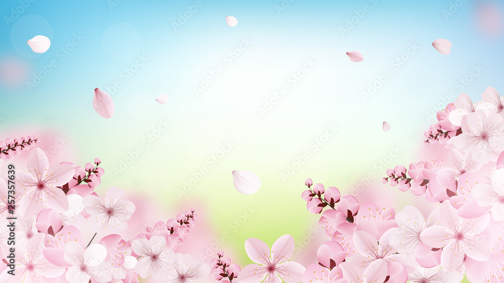 Background with blossoming light pink sakura flowers