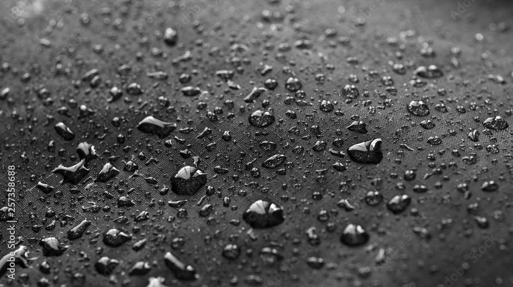 Rain Water droplets on black waterproof fabric - obrazy, fototapety, plakaty 