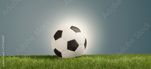 soccer ball on green grass ...