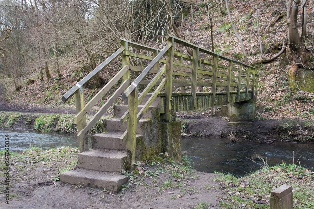 Wooden bridge forming part of a public trail through a woodland forrest crossing a stream