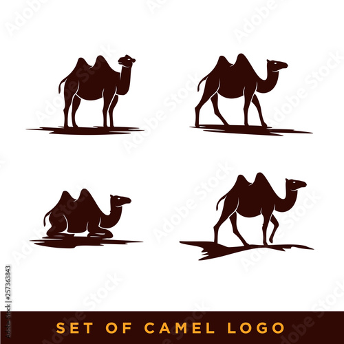 Camel icon silhouette vector illustration
