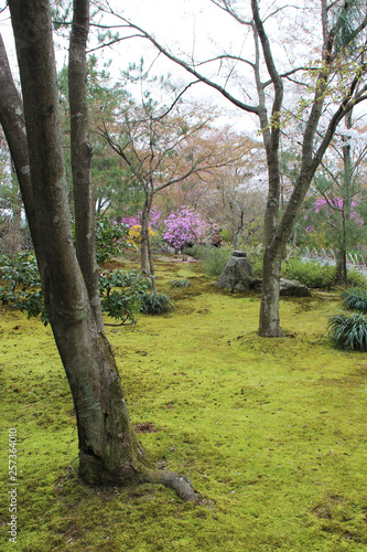 In the garden of the Tenryu-ji temple (Kyoto - Japan)