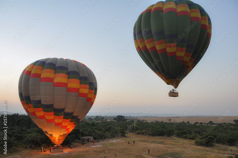 Obraz premium Balloons flying in savannah