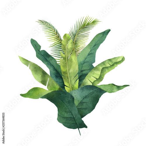 Watercolor vector bouquet tropical leaves and branches isolated on white background.