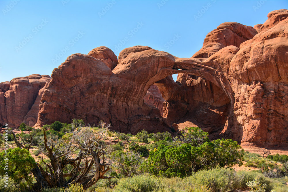 Double Arch in Arches National Park  Utah