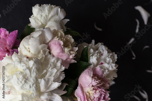 Peonies bouquet on black background