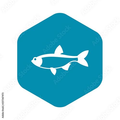 Rudd fish icon in simple style isolated vector illustration