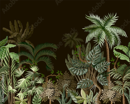 Seamless border with tropical tree such as palm, banana, monstera. Vector.