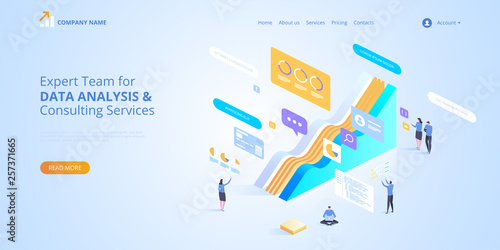 Expert Team for Data analysis & Consulting Services. Vector isometric