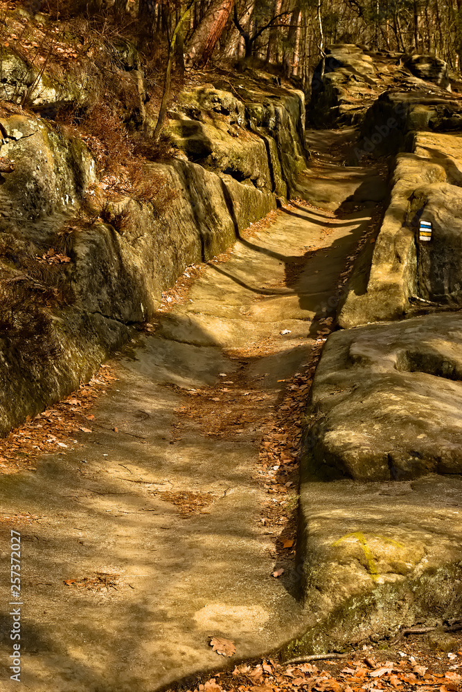Rock path near Machovo jezero lake in czech tourist region of Machuv kraj