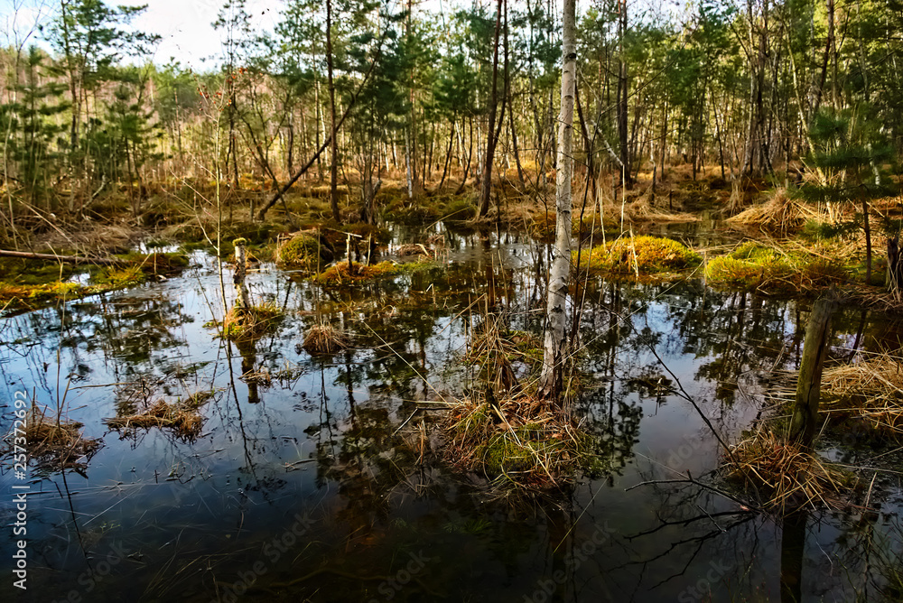 Little lagoon in czech tourist region of Machuv kraj Little lagoon in czech tourist region of Machuv kraj