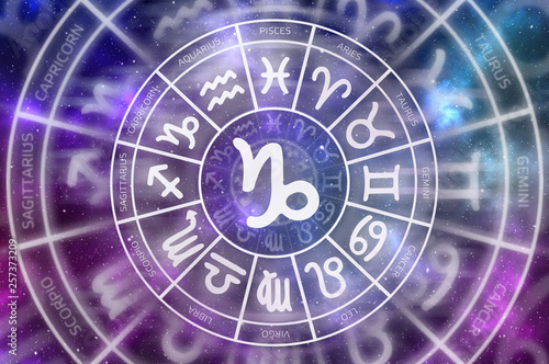 Zodiac Capricorn symbol inside of horoscope circle