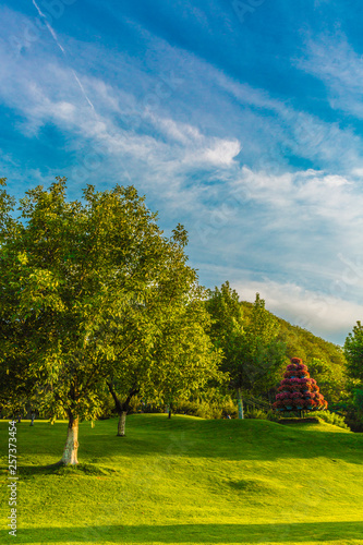 Outdoor blue sky, white clouds, grassland