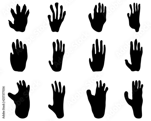 Black footprints of monkey on a white background