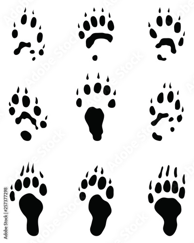 Black footprints of polecat on a white background