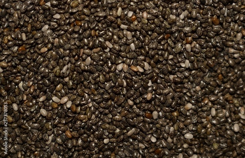 Graines de Chia, supra-aliment, à consommer sans modération pour leur vitamines, sels minéraux, oligoéléments