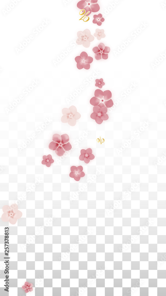Vector Spring or Summer Sale Background with Flowers and Percent for Banner Design. Good for Special Hot Holiday Discount Offer, Black Friday, Fashion Promotion Action. Romantic Sakura Illustration. Vector Spring or Summer Sale Background with Flowers and Percent for Banner Design. Good for Special Hot Holiday Discount Offer, Black Friday, Fashion Promotion Action. Romantic Sakura Illustration.