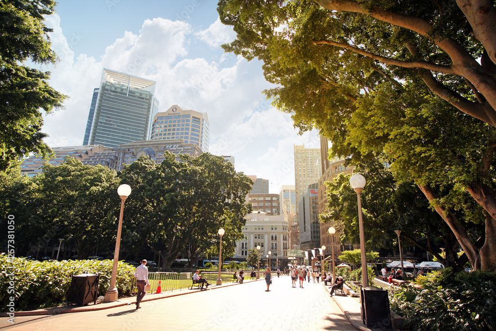 Fototapeta premium SYDNEY, AUSTRALIA November 20, 2017: Sun rays on trees of Hyde Park, in the background the city skyscrapers. Tourists and residents walk in the park