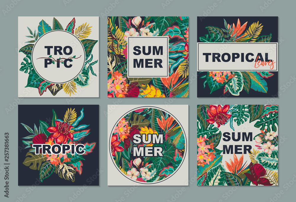 Vector collection with six cards, notes and banners with exotic flowers, plants and leaves.