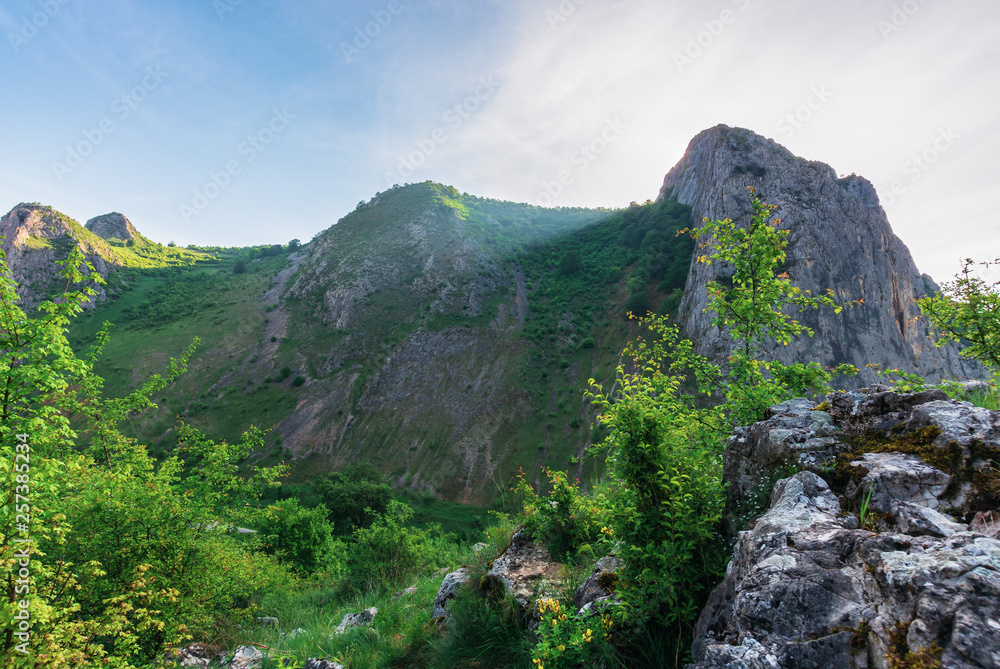 Obraz premium morning in the Valisoara gorge, romania. wonderful forenoon in the canyon. on the edge of a slope
